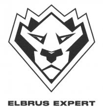 ELBRUS EXPERT