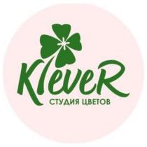 Klever СТУДИЯ ЦВЕТОВ