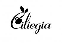 Слово «Ciliegia» на итальянском языке обозначает вишня. Данное слово для заявленных товаров и услуг, изобретенное заявителем вызывает ассоциации с женственностью, изящность, утонченность.