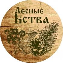 Лесные Яства