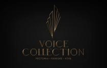 VOICE COLLECTION