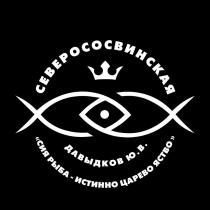 СЕВЕРОСОСВИНСКАЯ, ДАВЫДКОВ Ю.В., 