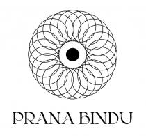 Prana Bindu