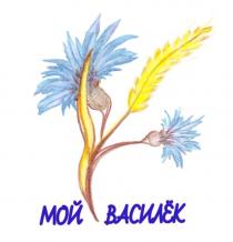 МОЙ ВАСИЛЁК