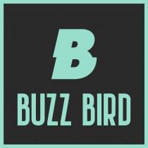 BUZZ BIRD