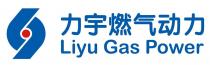 LIYU GAS POWER