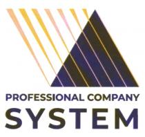 PROFESSIONAL COMPANY SYSTEM