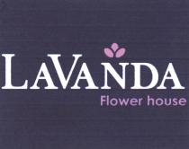 LAVANDA FLOWER HOUSE