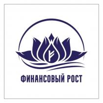 ФИНАНСОВЫЙ РОСТ