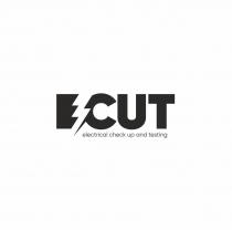 ECUT electrical check up and testing