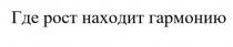 Где рост находит гармонию