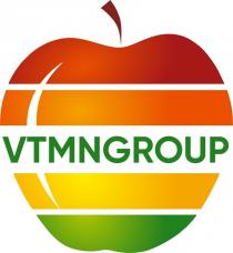 Словесный элемент состоит из одного слова, выполненного буквами английского алфавита: «VTMNGROUP», в зелёном цвете. Транслитерация английского слова: «ВТМНГРОИР». Перевода нет.
