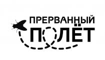 ПРЕРВАННЫЙ ПОЛЁТ