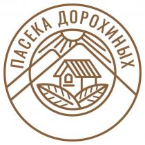 ПАСЕКА ДОРОХИНЫХ