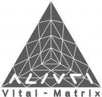 Словосочетание английских слов Vital-Matrix – Vital -Жизнь, Matrix - матрица -жизненная матрица.Транслитерация буквами русского алфавита: «Витал-Матрикс».