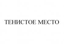 ТЕНИСТОЕ МЕСТО