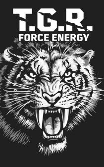 FORCE ENERGY