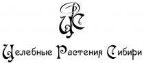 ЦЕЛЕБНЫЕ РАСТЕНИЯ СИБИРИ