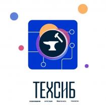 ТЕХСИБ сопровождение интеграция безопасность технологии