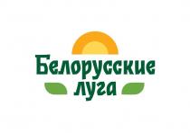 Белорусские луга