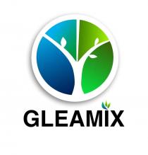 Словесный элемент состоит из одного слова, выполненного буквами английского алфавита: «GLEAMIX», в чёрном цвете. Транслитерация английского слова: «ГЛЕАМИХ». Перевода нет.