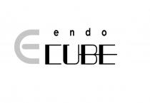 endo cube