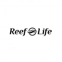 Reef Life