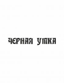 Черная утка чёрная