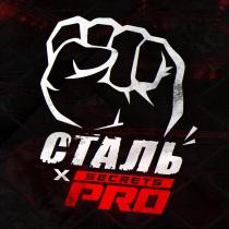 СТАЛЬ secrets PRO