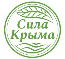 СИЛА КРЫМА