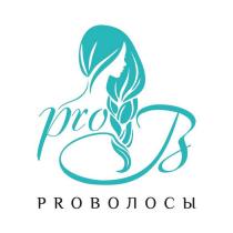 PROВОЛОСЫ, pro