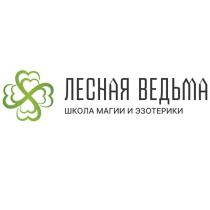 ЛЕСНАЯ ВЕДЬМА ШКОЛА МАГИИ И ЭЗОТЕРИКИ