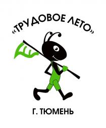 Трудовое лето г. Тюмень