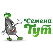 СЕМЕНА ТУТ