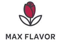 MAX FLAVOR