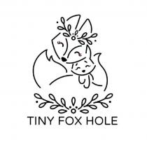 TINY FOX HOLE