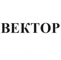 ВЕКТОР