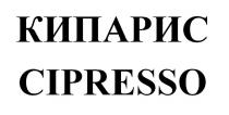 КИПАРИС CIPRESSO