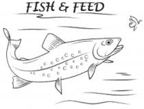 FISH & FEED