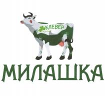 КЛЕВЕР МИЛАШКА