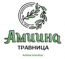 Амиина травница Amiina-travnitsa