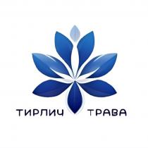 ТИРЛИЧ ТРАВА