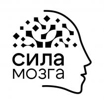 СИЛА МОЗГА