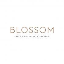 BLOSSOM СЕТЬ САЛОНОВ КРАСОТЫ