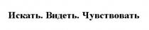 Искать. Видеть. Чувствовать