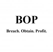 Breach. Obtain. Profit. , ВОР