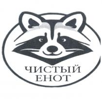 ЧИСТЫЙ ЕНОТ