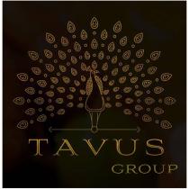 Каждое слово с заглавной буквы, английского алфавита – «TAVUS GROUP» - транслитерация – «ТАВУС ГРОУП». Перевод на русский язык – «ТАВУС ГРУПП». Два слова написаны в единой цветовой гамме: золотой (золотистый) цвет.