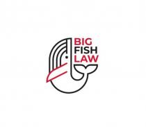 big fish law