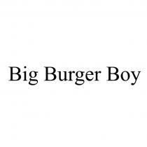 Big Burger Boy